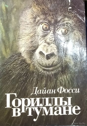 ГОРИЛЛЫ В ТУМАНЕ. Редкая книга американской исследовательницы Дайан Фосси посвящена изучению единственной сохранившейся популяции горных горилл в Африке. Будет интересно и детям, и взрослым!