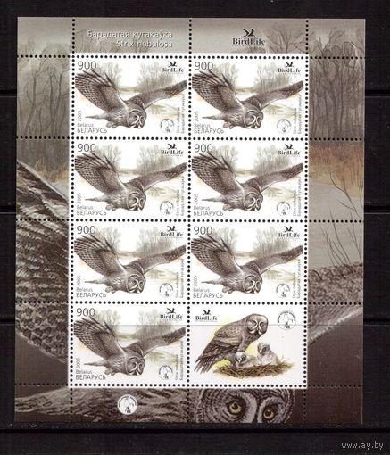 Беларусь-2005,(Мих.582)  , Фауна, Птица года, Сова, м/л