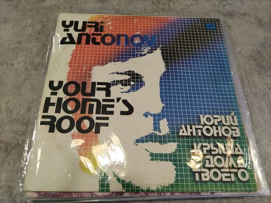 Пластинка виниловая , цена за 1 шт.