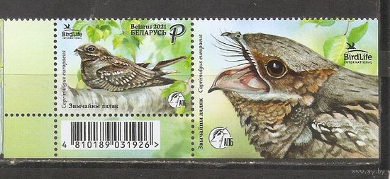 ФФ1 Беларусь 2021 Птица