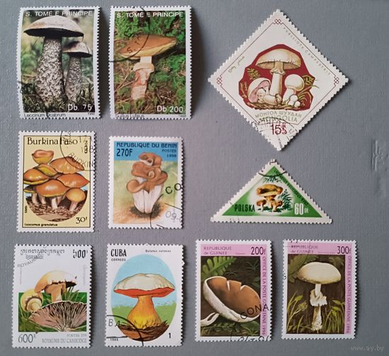 Грибы. Сборка.