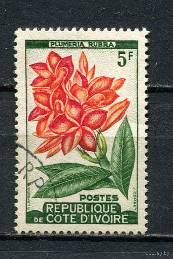 Кот-д 'Ивуар - 1961 - Цветы 5Fr - [Mi.223] - 1 марка. Гашеная.  (Лот 34HS)-TG3P11