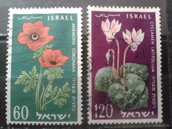 Израиль 1959 Цветы