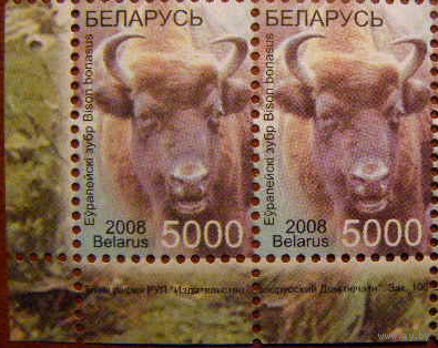 10.12.2008 Беларусь Одиннадцатый стандартный выпуск. Дикие животные. Фауна Звери. Зубр ** Стандарт зак 106 2009