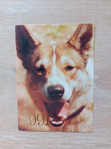 Календарик 1991