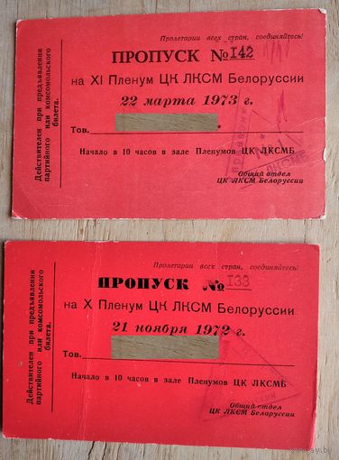 Пропуск на Пленум ЦК ЛКСМ Белоруссии. 2 шт. 1972, 1973 г. Цена за 1.