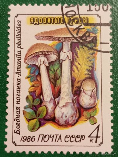 СССР 1986. Ядовитые грибы. Бледная поганка