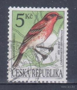 [861] Чехия 1994. Фауна.Птицы.Чечевица. Гашеная марка.