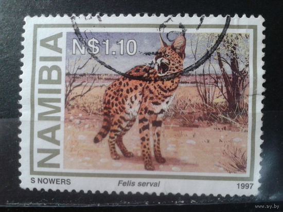 Намибия, 1997. Сервал