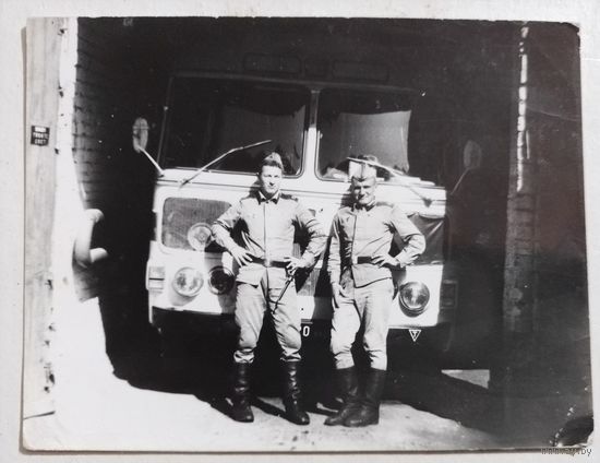 Фото в коллекцию