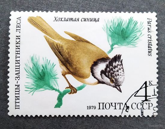 Марка СССР 1979 год Птицы