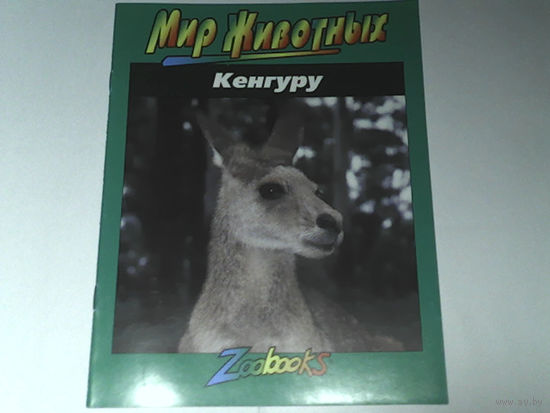 000166/КЕНГУРУ