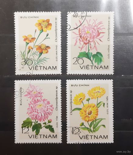 Вьетнам. Флора. Цветы (269)