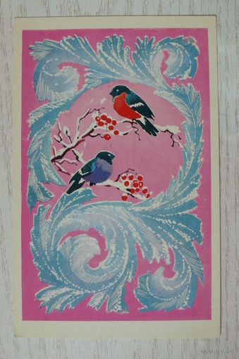 Гох А., Сундирев Г., С Новым годом! 1976, чистая (рябина, снегирь).