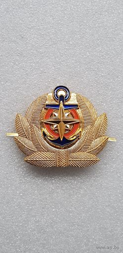 Кокарда ГИМС Россия*