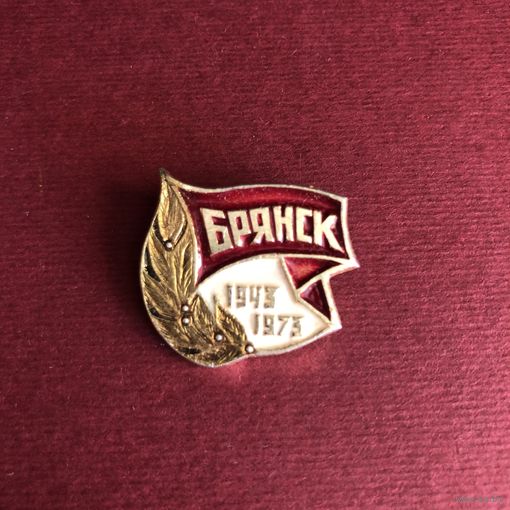 30-летие освобождения Брянска
