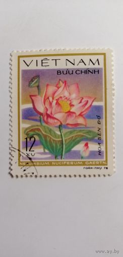 Вьетнам 1980. Водные цветы