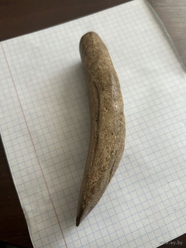 Древнее орудие труда. Скребок для чистки шкур? Толи кость толи бивень. Оригинал!