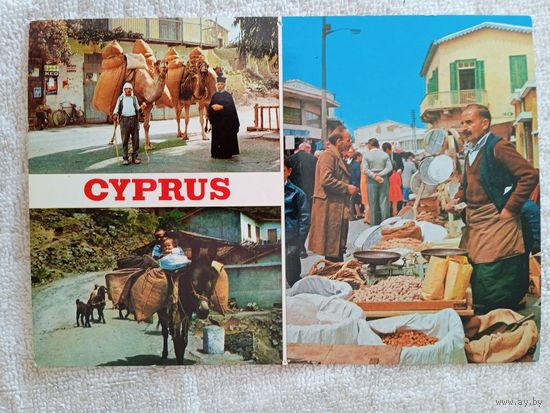 Этнография. Кипр