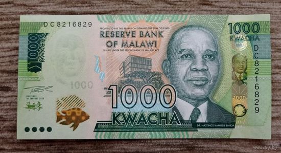 Werty71 Малави 1000 квача 2024 UNC банкнота