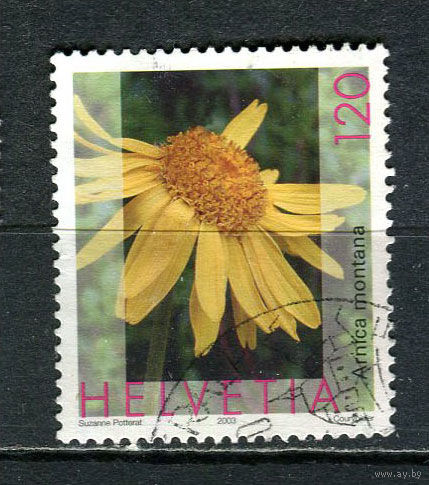 Швейцария - 2003/2005 - Флора. Арника 120С - [Mi.1823C] - 1 марка. Гашеная.  (Лот 34JA)-TG3P52