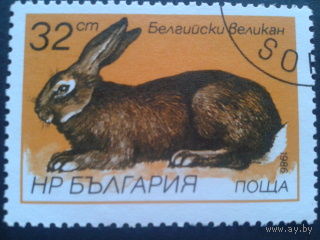 Болгария 1986 кролик
