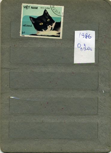 ВЬЕТНАМ, 1986    КОШКИ,  3м