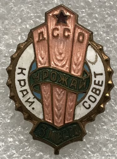 ДССО УРОЖАЙ КРАЙ СОВЕТ 3 МЕСТО