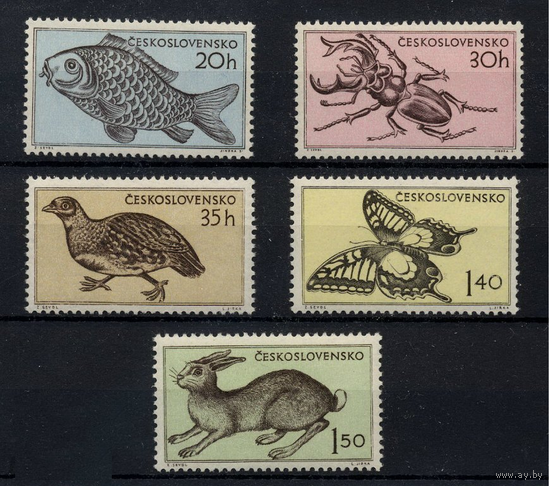 ЧЕХОСЛОВАКИЯ. 1955. ФАУНА. Полн. серия. MNH\\7