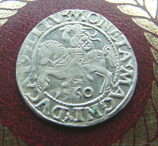 Полугрош 1560
