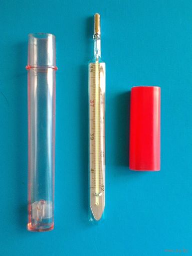 Термометр/Градусник в Футляре Ртутный.