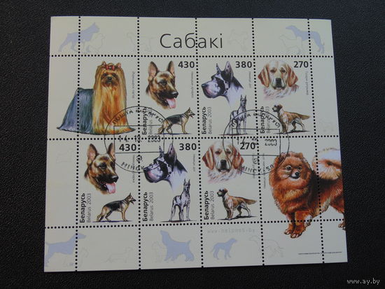Беларусь 2003 год. Собаки.