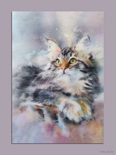 Открытка. Фауна. Животные. Кот. Коты. Котики. Мейкун. Худ. Л.Титова (чистая)