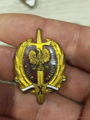 Выслука МВД Польша