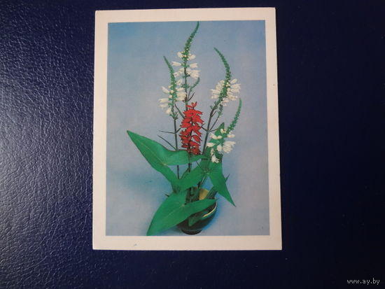 Композиция из цветов.  1982 г.  мини.