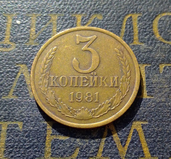 3 копейки 1981 СССР #18