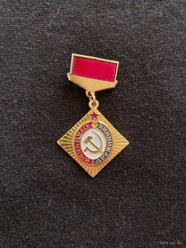 Отличный дружинник