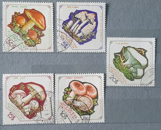 Монголия грибы 5шт