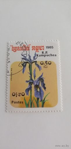 Камбоджа 1985. Цветы