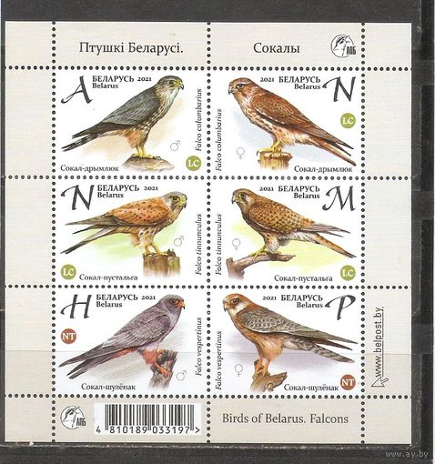 ФФ1 Беларусь 2021 Птицы