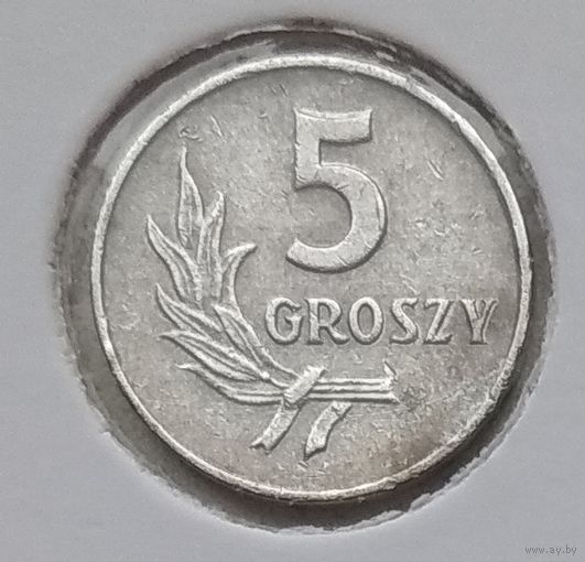 Польша 5 грошей 1967 г. В холдере