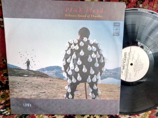 Виниловая пластинка PINK FLOYD. Delicate Sound Of Thunder. 2LP
