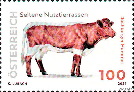 Редкие породы домашнего скота Австрия 2021 год серия из 1 марки