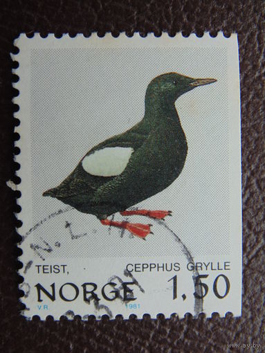 Норвегия 1981 г. Птицы.