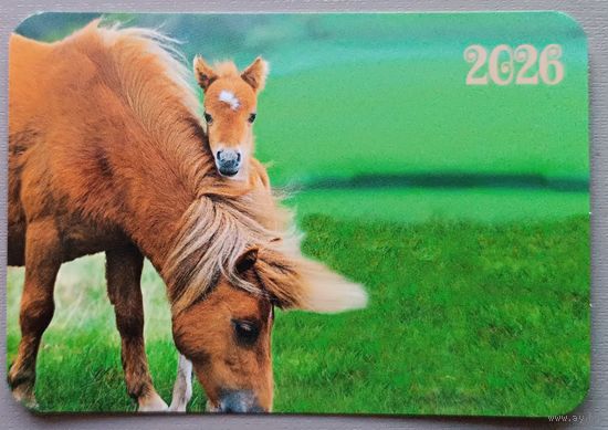 Лошади. Календарик, глянец, 2026