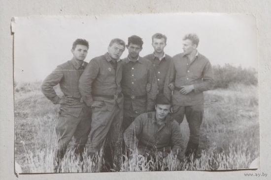 Фото в коллекцию