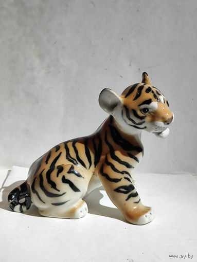 Тигр.Тигрёнок ЛФЗ.