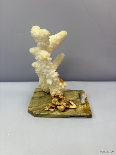 Белый натуральный коралл Acropora на подставке из мрамора или оникса