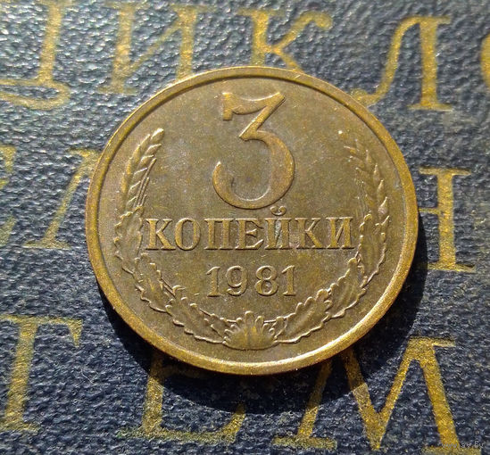 3 копейки 1981 СССР #22