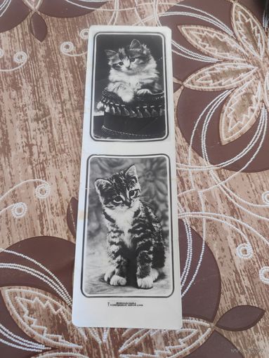 Закладка,ссср